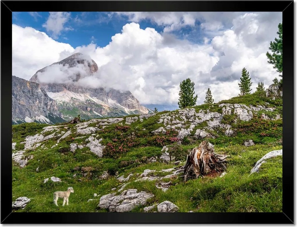 Poszterek keretben 40x30 Bárány a hegyekben Kilátás