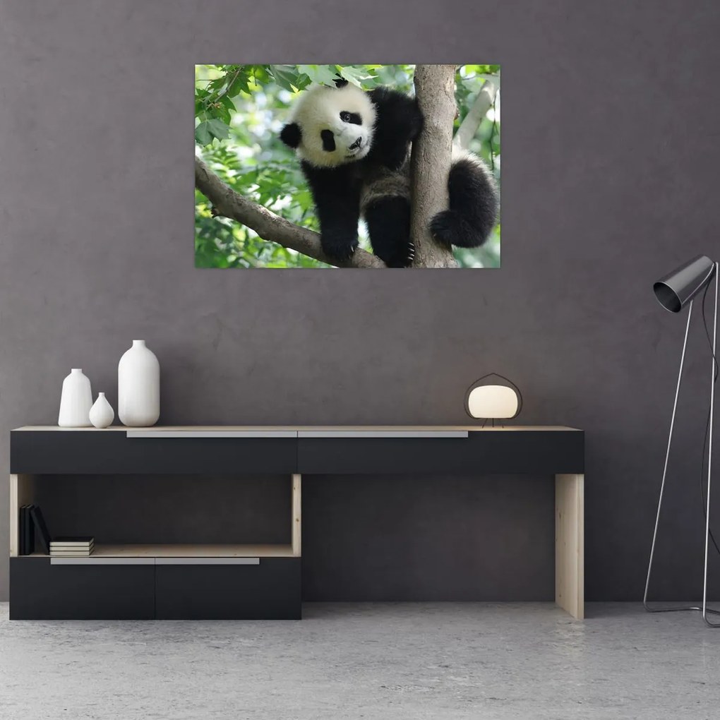 Kép - Panda a fán (90x60 cm)