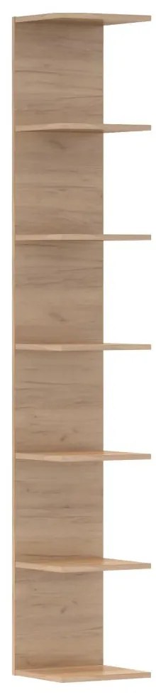Polc Dorona (artisan tölgy). 1119673