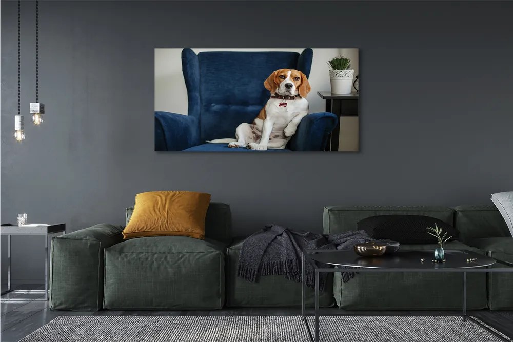 Canvas képek ül kutya 120x60 cm
