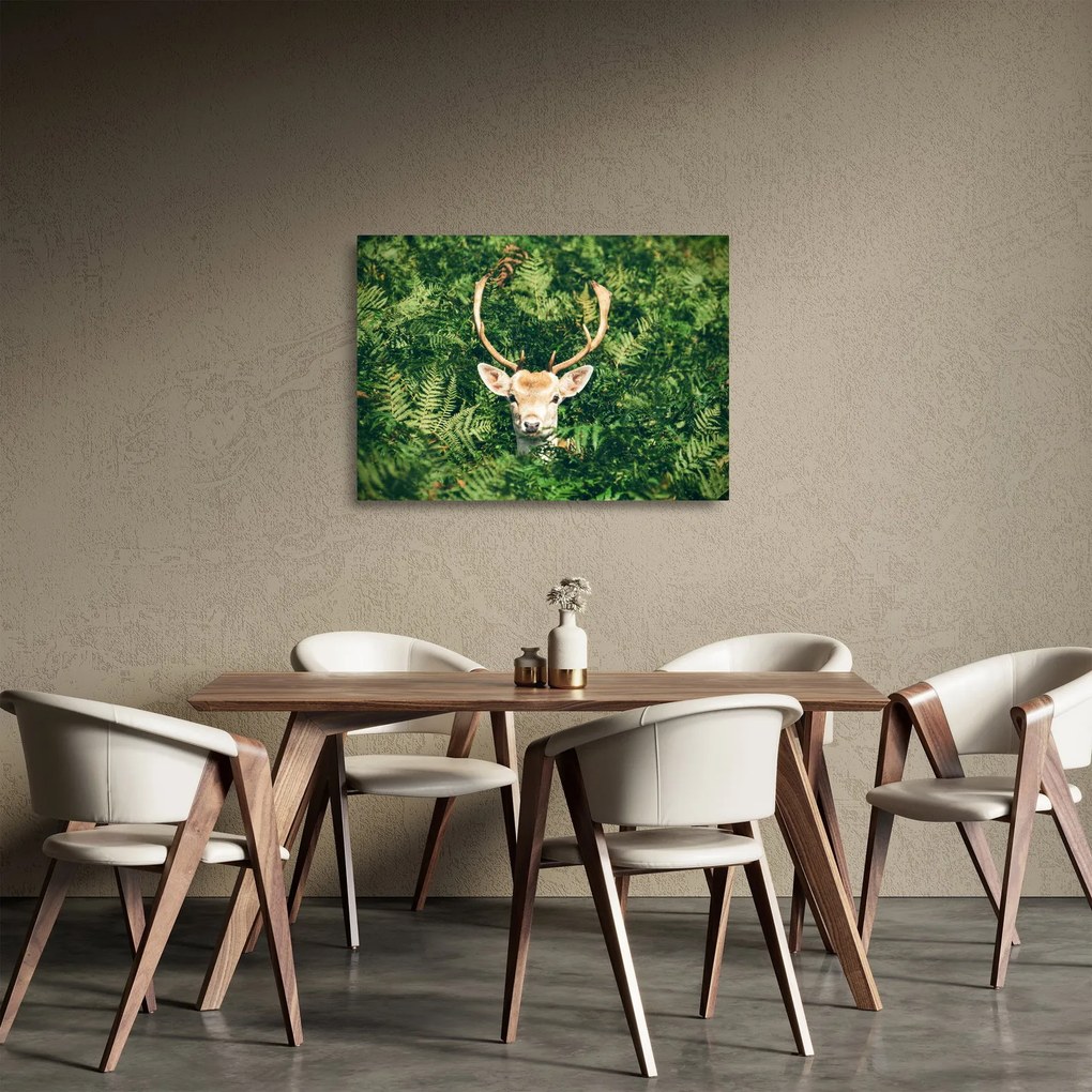 Kép - őz fej részlete (üvegen) (70x50 cm)