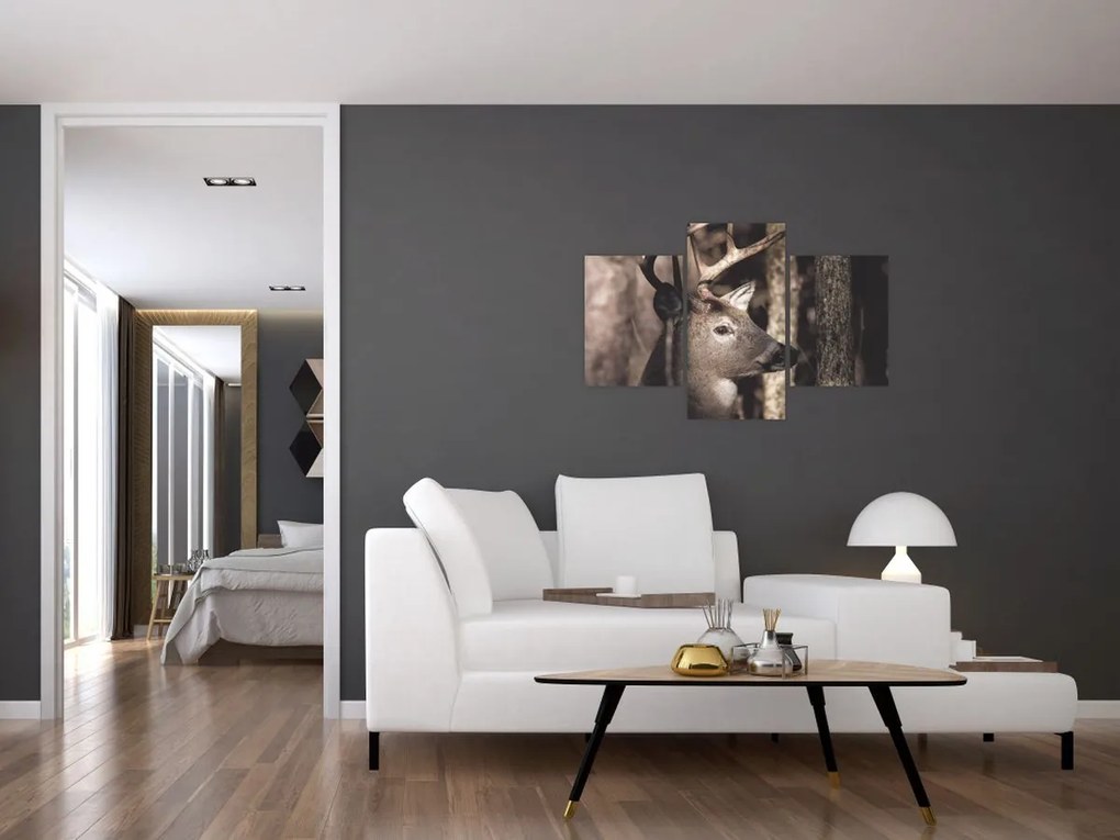 Kép - Szarvas az erdőben (90x60 cm)