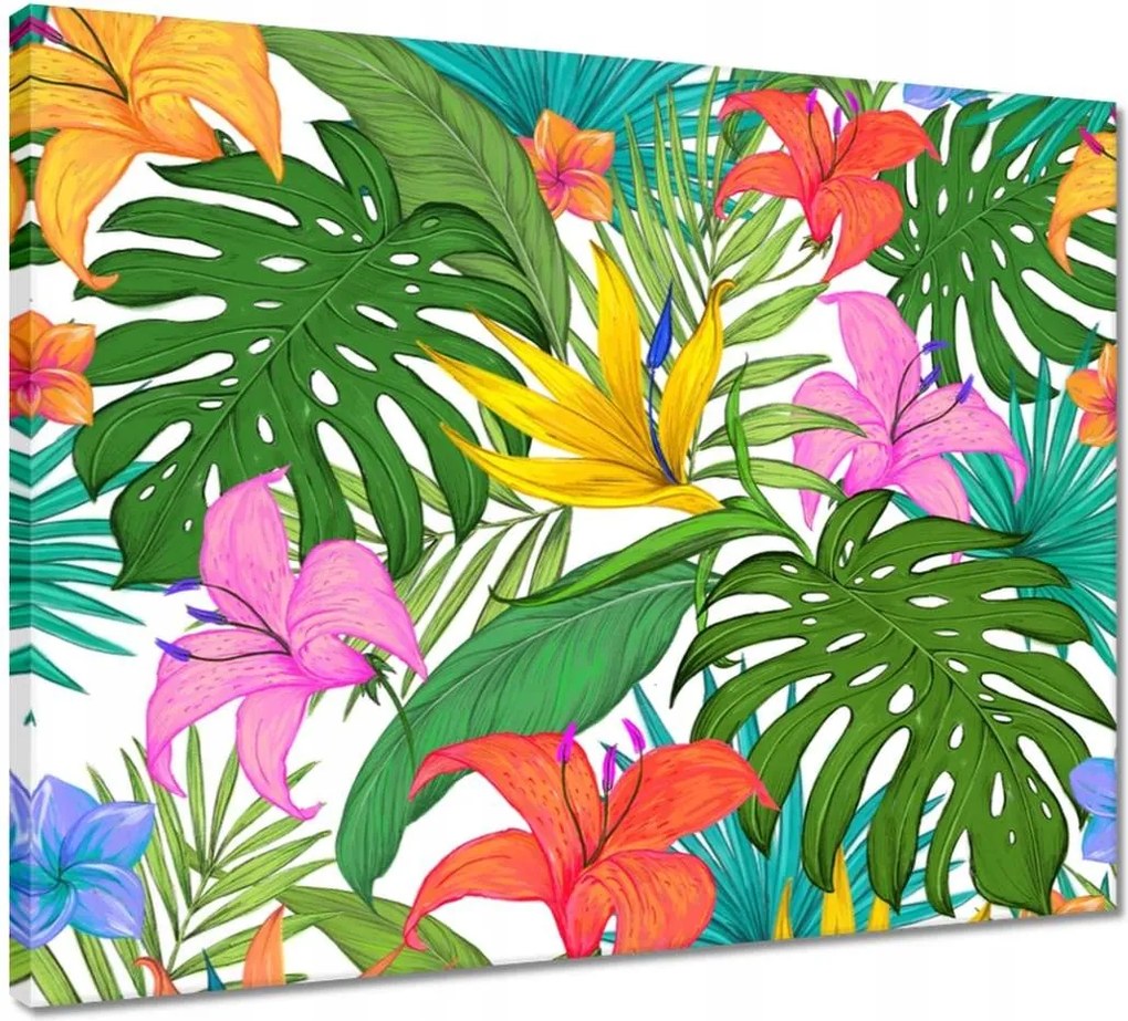 Vászonkép 50x40 Trópusi levelek Leaves