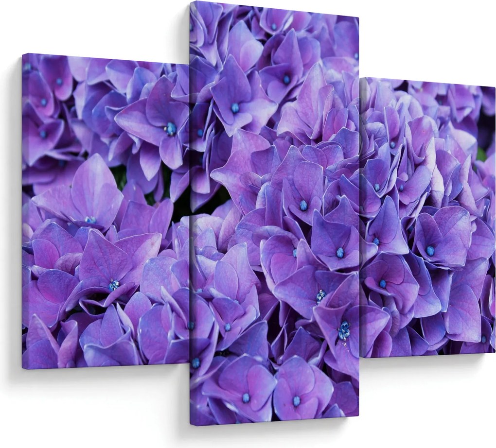Lila virágok képe (90x60 cm)