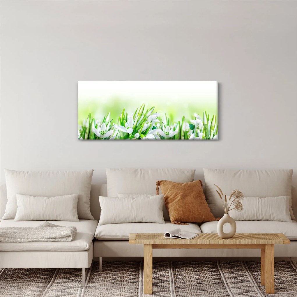 Kép - Hóvirág (120x50 cm)