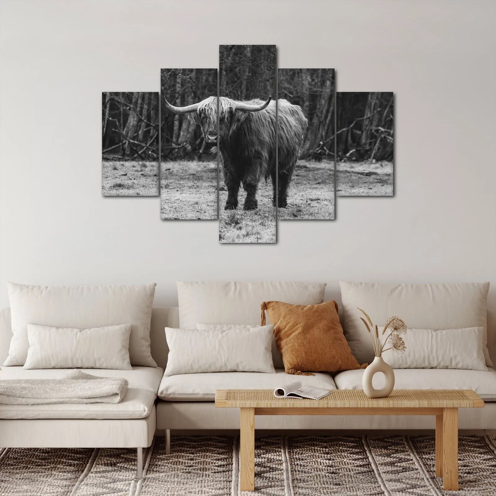 Kép - Skót tehén (150x105 cm)