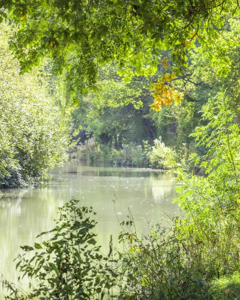 Poszter 40x50cm Basingstoke csatorna, Assaf Frank