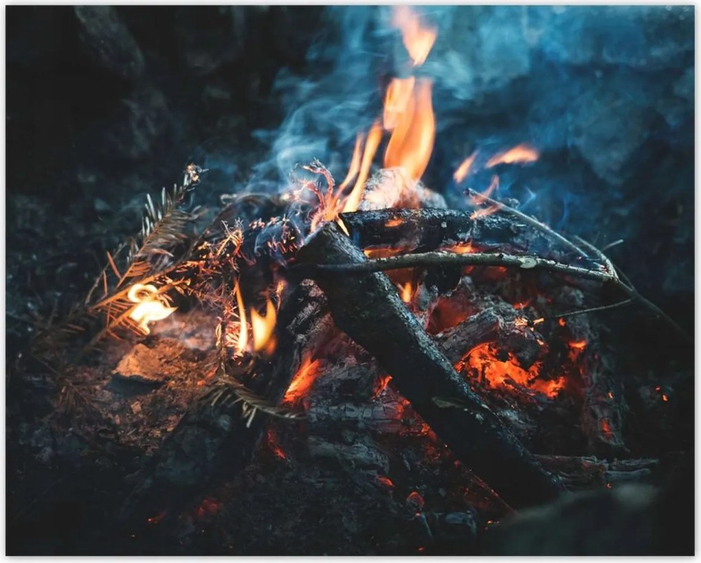 Poszterek 50x40 Tűz az éjszakában az erdőben