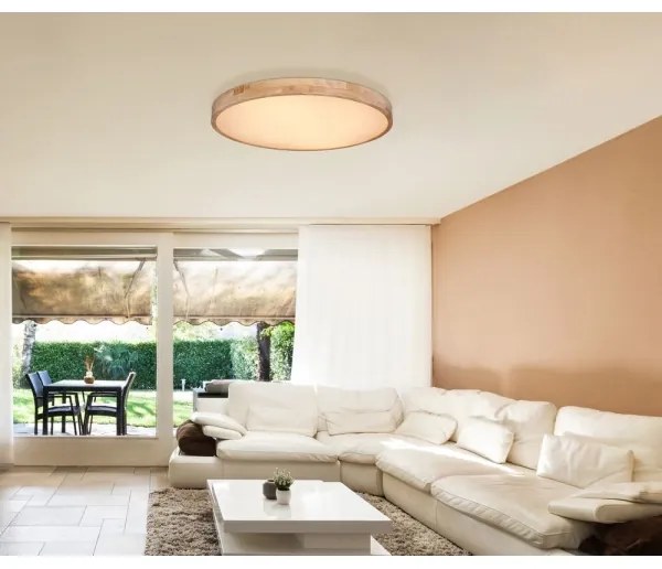 Globo 41745-60 - LED Dimmelhető mennyezeti lámpa RAINER LED/60W/230V + távirányító