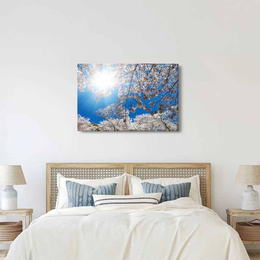 Kép - Cseresznyevirág (90x60 cm)