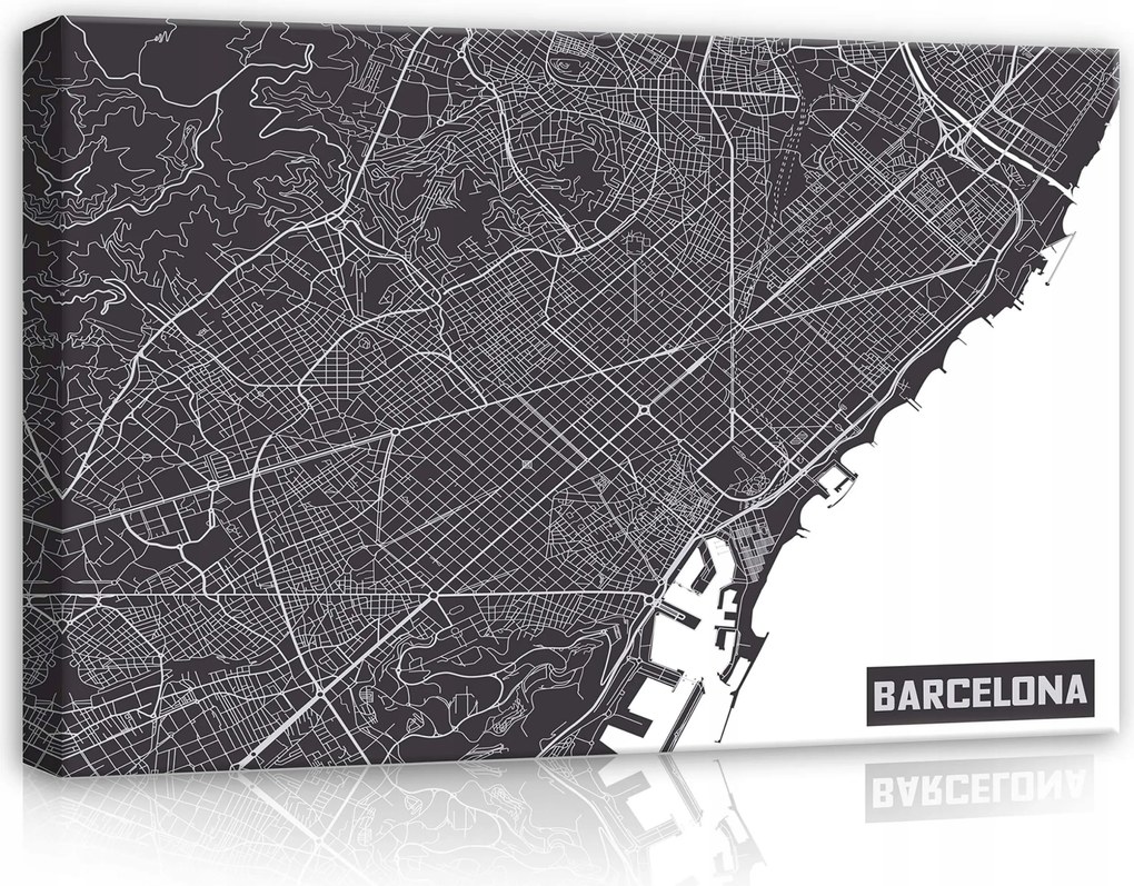 Vászonkép 60x40 Barcelona várostérkép minimalizmus fekete-fehér geometria utcák