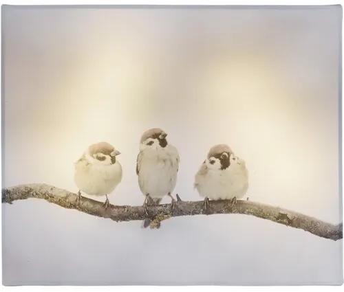 Animal and snow Bird LED vászonkép, 20 x 25 cm