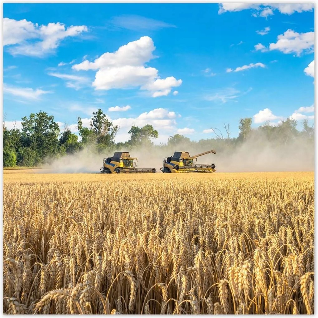 Poszterek 30x30 Két fűnyíró kombájn