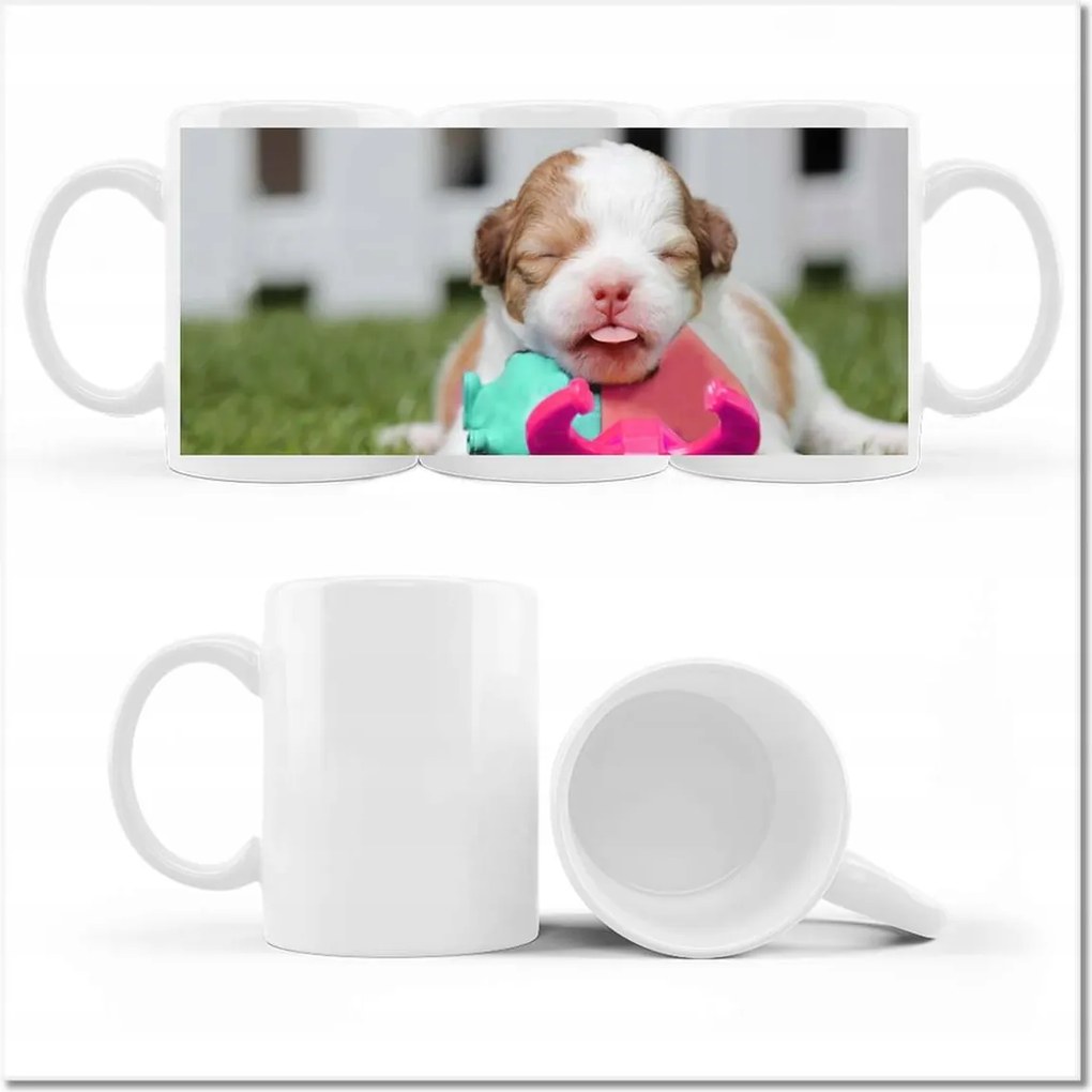 Chihuahua fényképes bögre