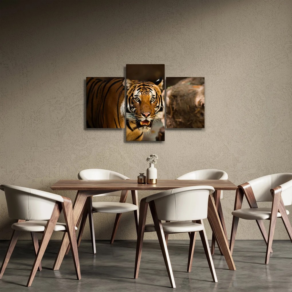Tigris képe (90x60 cm)