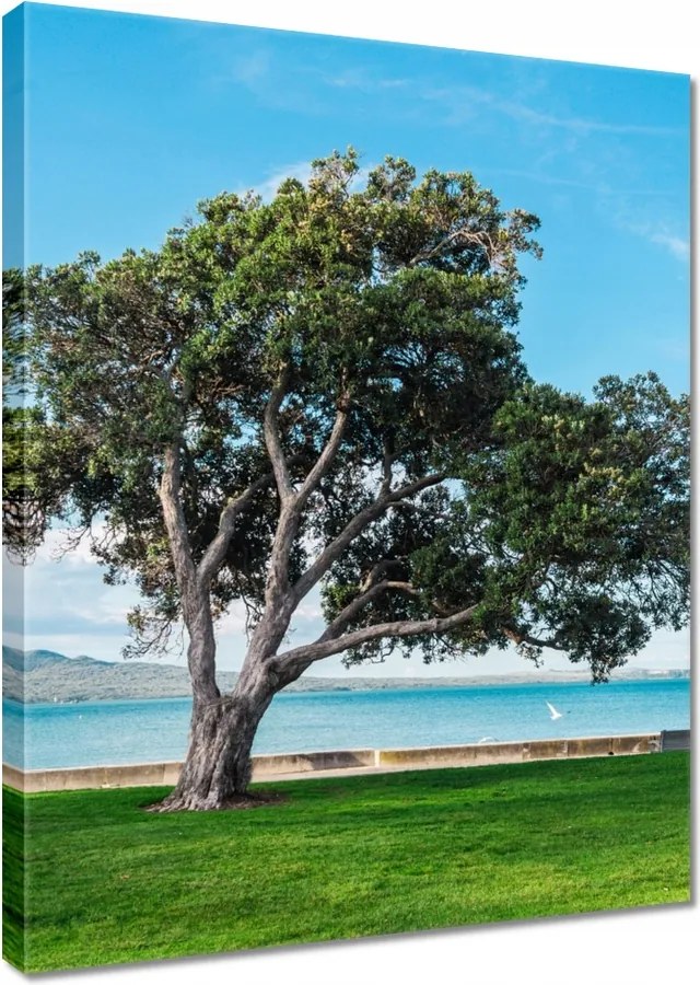 Vászonkép 30x40 Magányos fa