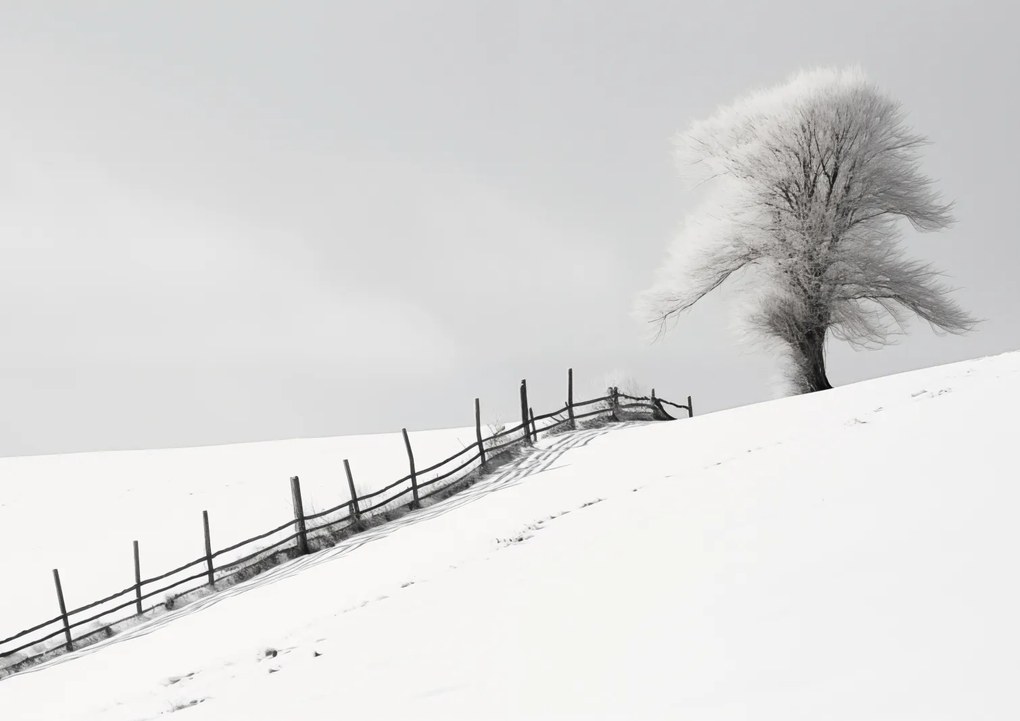 Poszter 29,7x21cm Magány a télben a kerítésnél