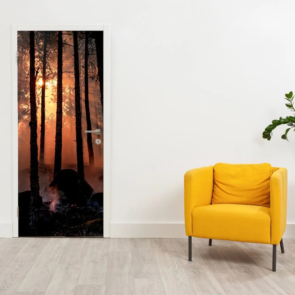 Fotótapéta ajtóra - Sötét erdő (95x205cm)