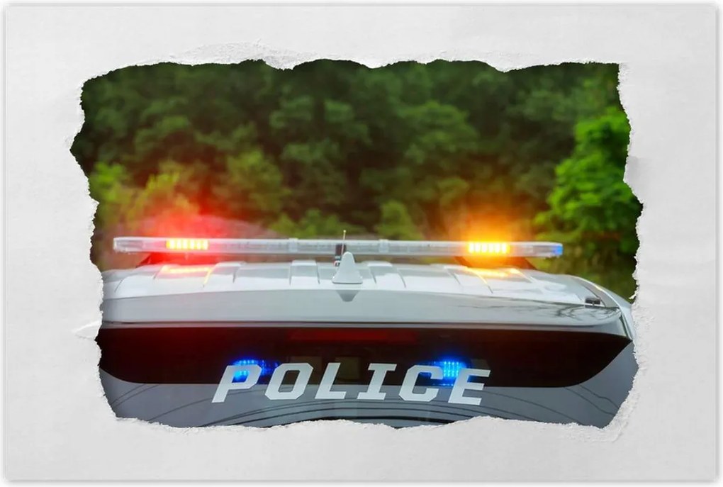 Poszterek 90x60 Villogó rendőrségi lámpák