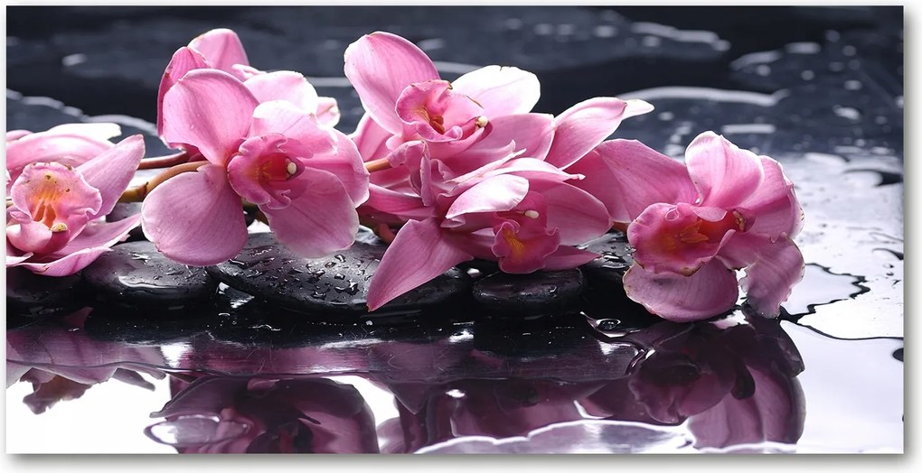 Fotótapéta üvegfalra Rózsaszín orchidea 140x70