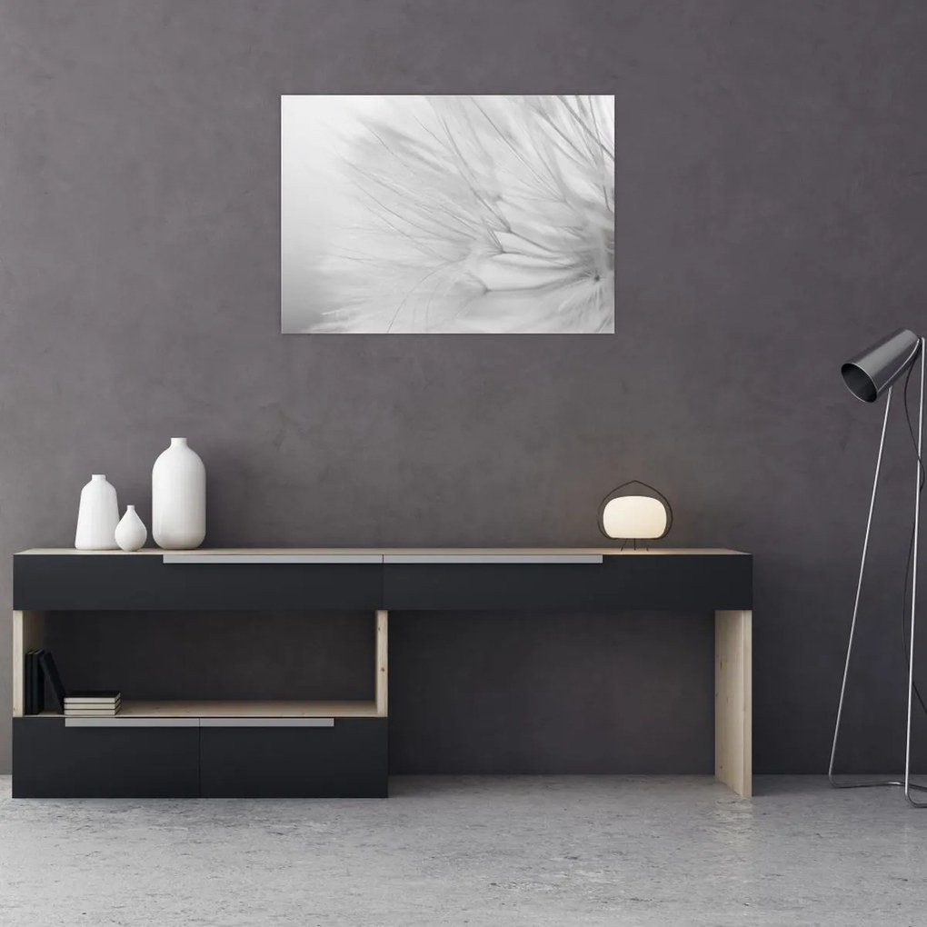 Üveg kép - Pitypang (70x50 cm)