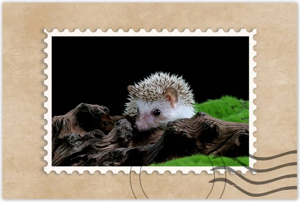 Poszterek 120x80 Sündisznó a zöld mohán