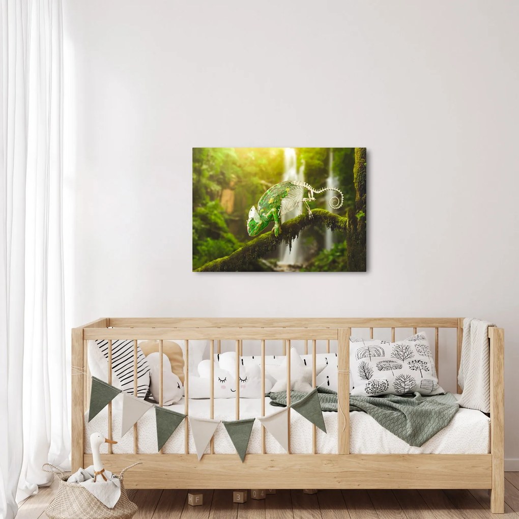 Kaméleon képe (70x50 cm)