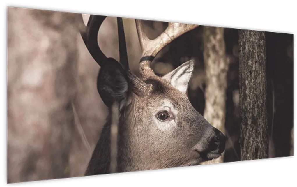 Kép - Szarvas az erdőben (120x50 cm)
