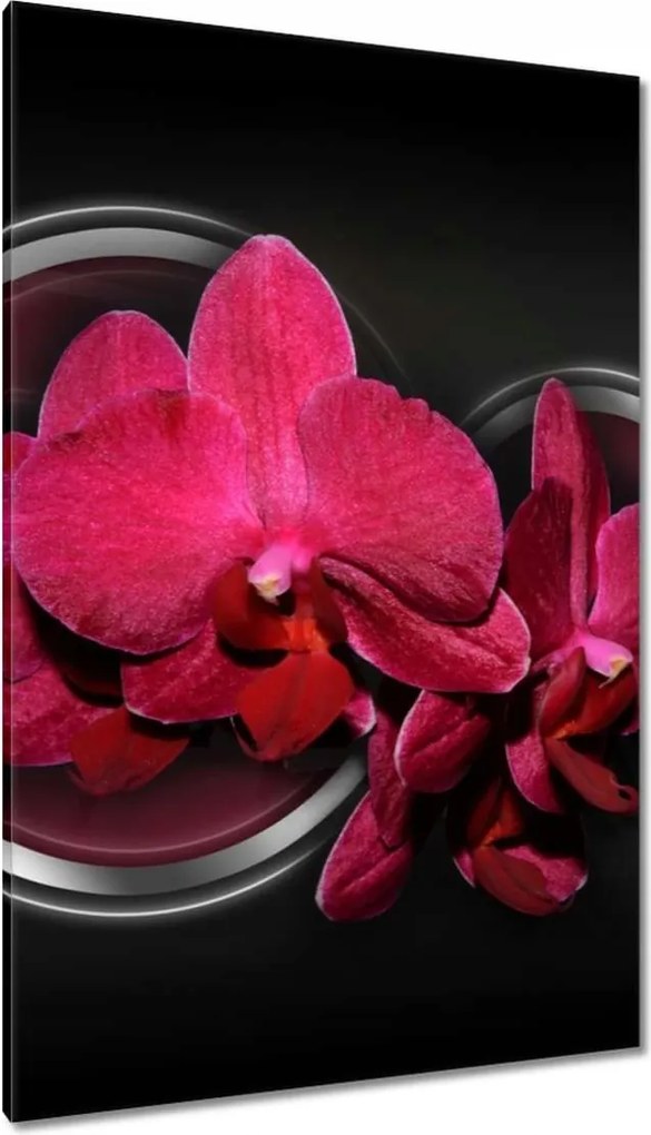 Vászonkép 80x120 Absztrakt orchideával
