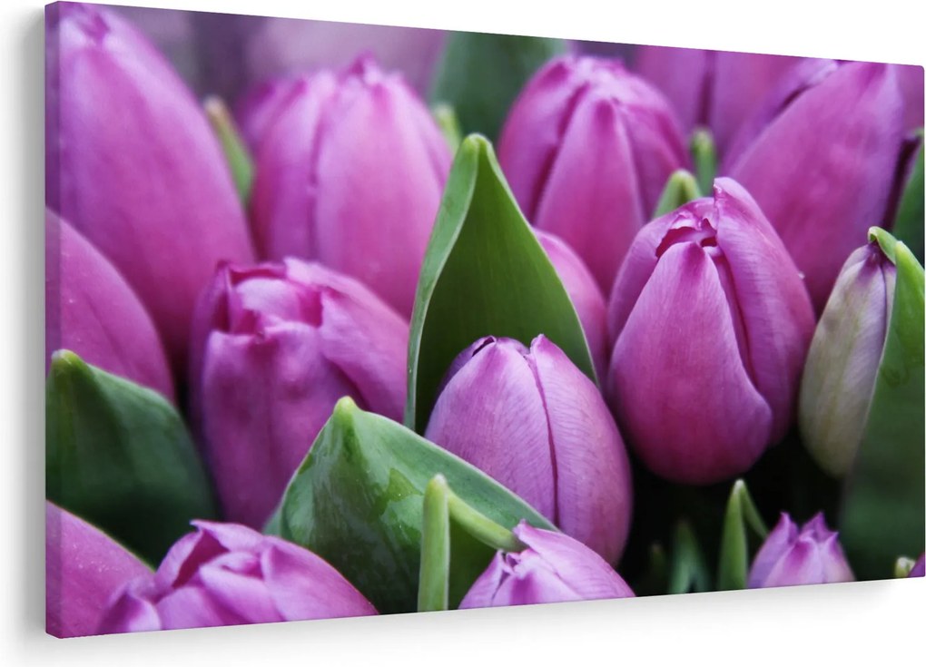 Kép - tulipánok (90x60 cm)