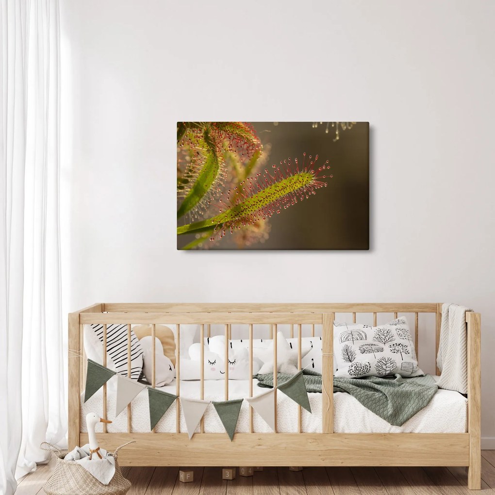 A növény képe (90x60 cm)