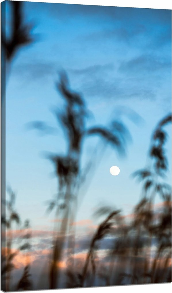 Vászonkép Természet Mező Rét Napfelkelte 70x120