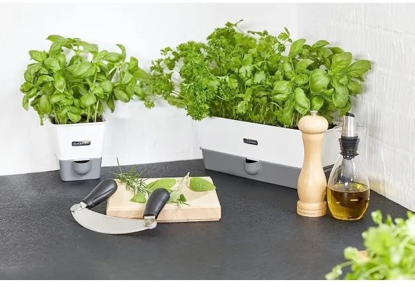 Cole&Mason - Borsdaráló CAPSTAN BEECH bükk 20 cm