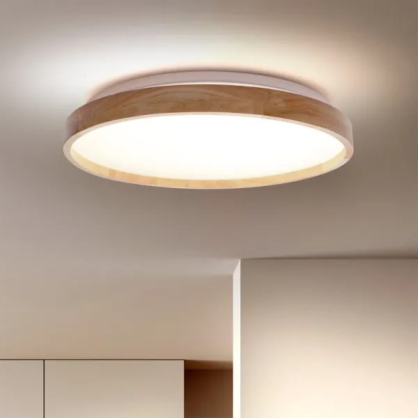 Brilagi - LED dimmelhető mennyezeti lámpatest ALSON LED/48W/230V 3000-6500K + távirányító