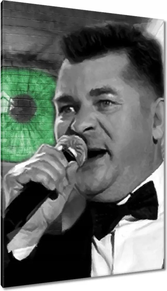 Vászonkép 80x120 Zöld szemek Zenek