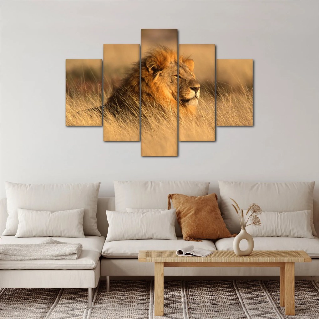 Kép - Etosha Nemzeti Park (150x105 cm)