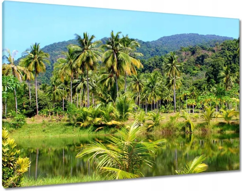 Vászonkép 100x70 Gyönyörű amazon