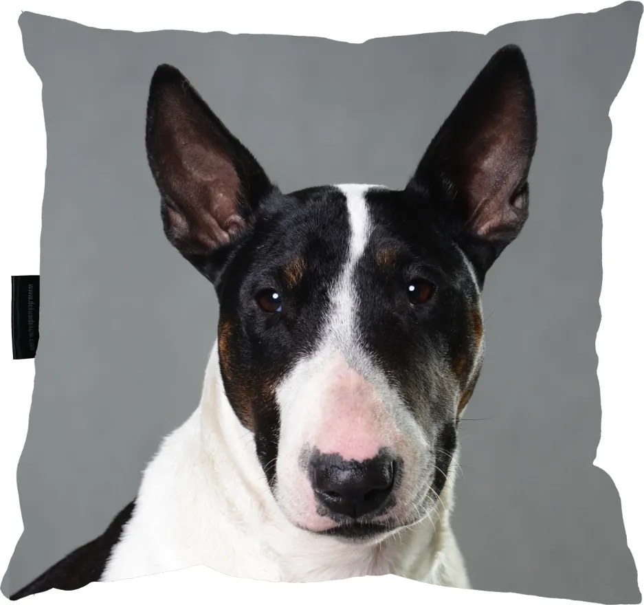 Bulterier Kutyapárna alváshoz 40x40 ajándék