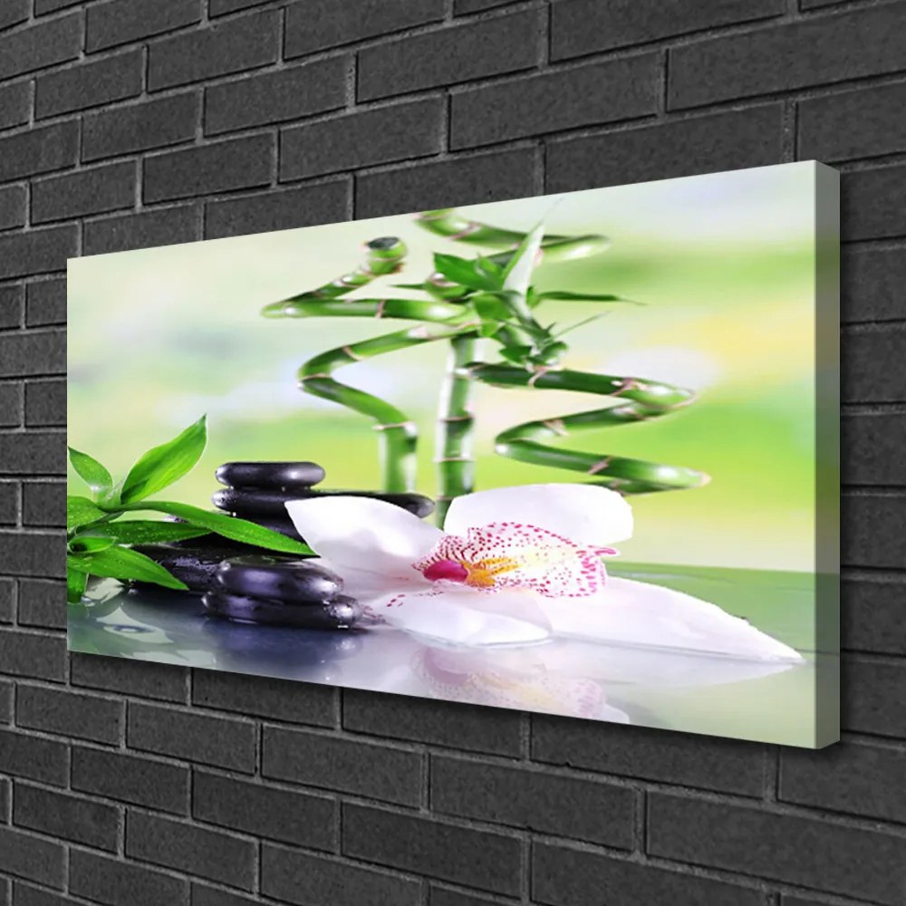 Vászonkép falra Bamboo Orchid Zen Spa 125x50 cm