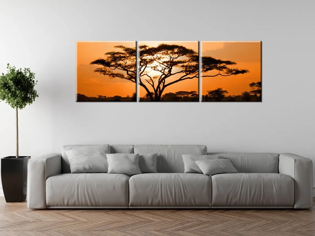 Gario Vászonkép Gyönyöru afrikai táj - 3 részes Méret: 90 x 30 cm
