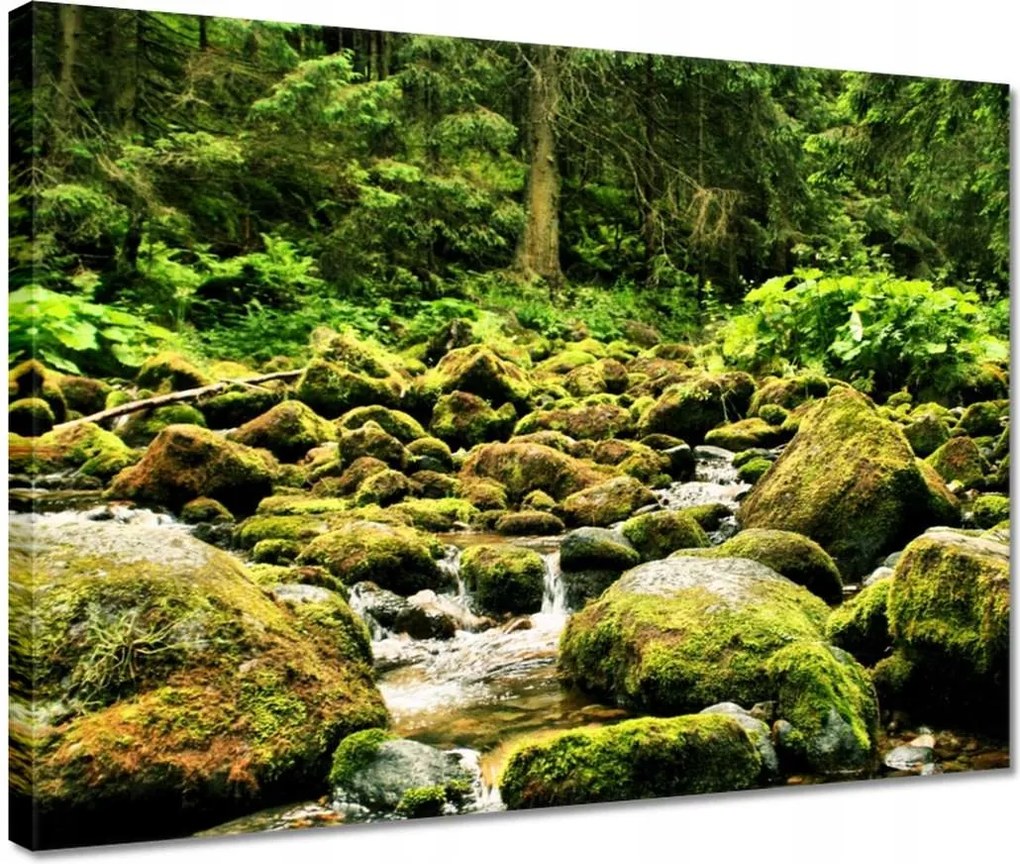 Vászonkép 40x30 Tátra Lengyel hegyek Kilátás