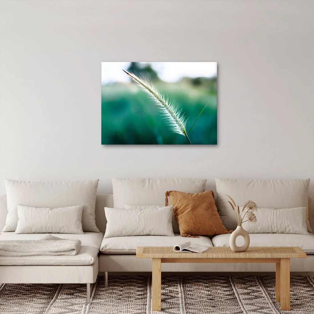 Fűszál képe (70x50 cm)