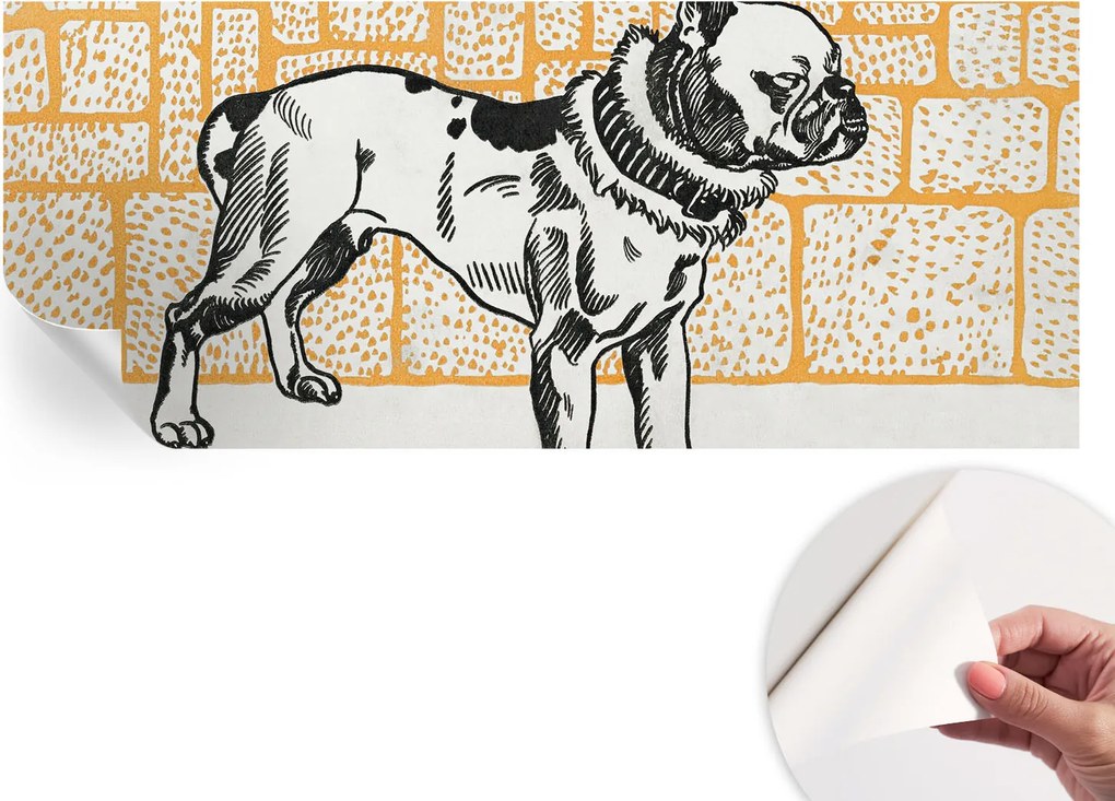 Fotótapéta Dekoratív Fali Tapéta Képek Kutya Retro 250x104