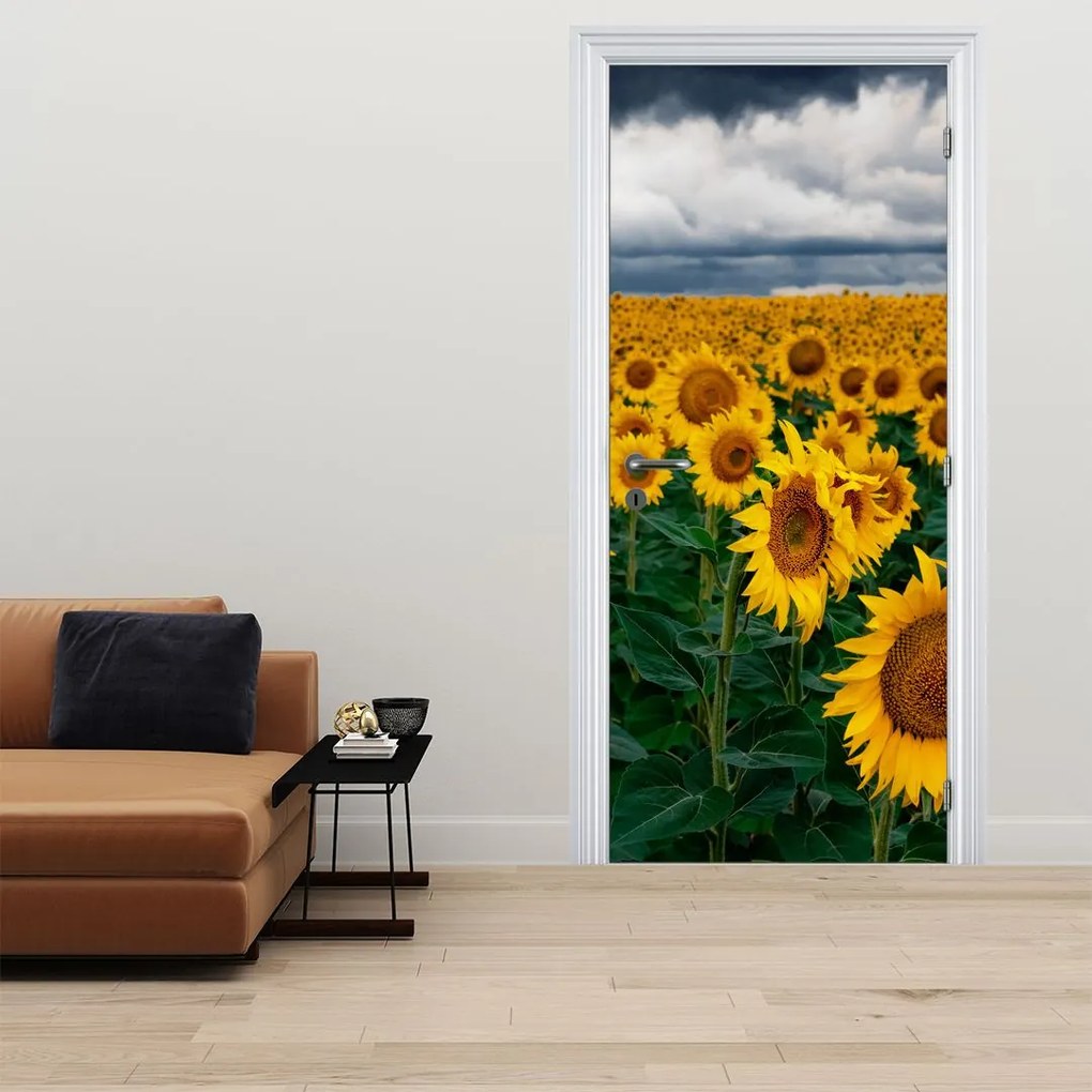 Fotótapéta ajtóra - Napraforgó mező (95x205cm)