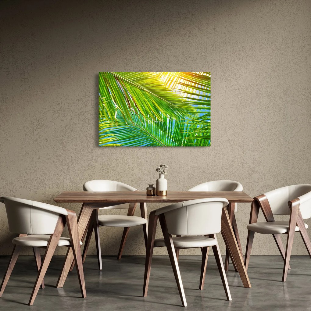 Kép - Pálmalevelek (90x60 cm)