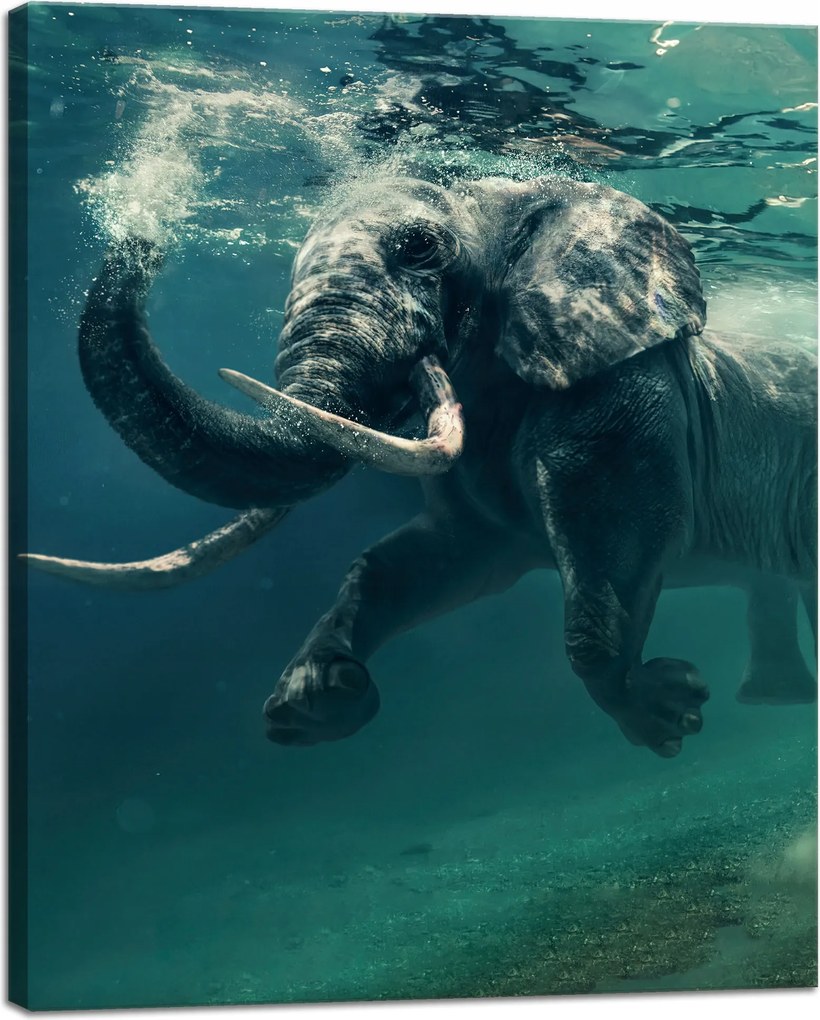 Vászonkép Lebegő elefánt a vízben Művészet 40x50 cm Ideális ajándék