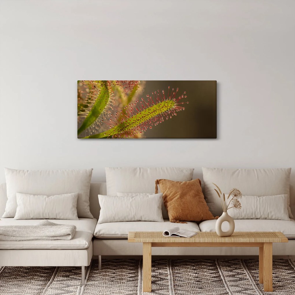 A növény képe (120x50 cm)