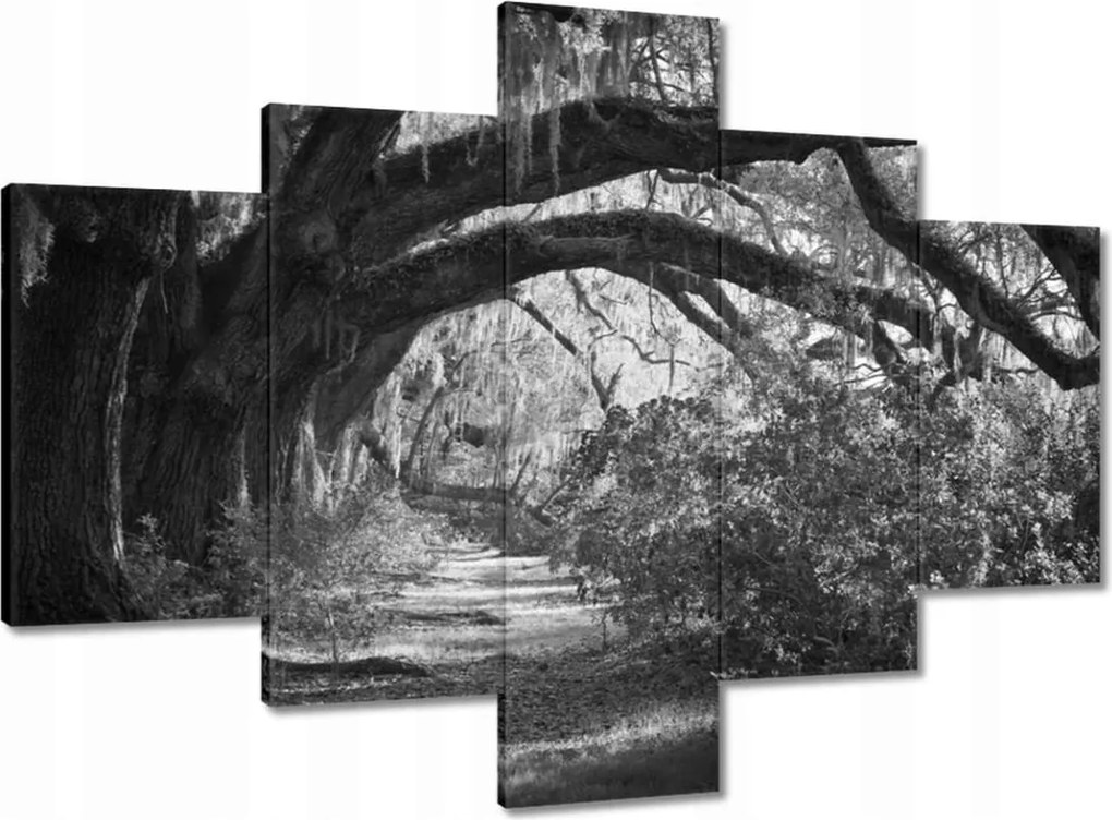 Vászonkép 100x70 Tölgyek a parkban