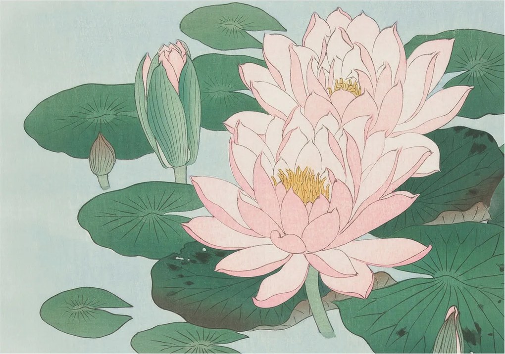 Flizelin Dekoratív fotótapéta Hálószobába Vízi lótusz 312x219 Ragasztó