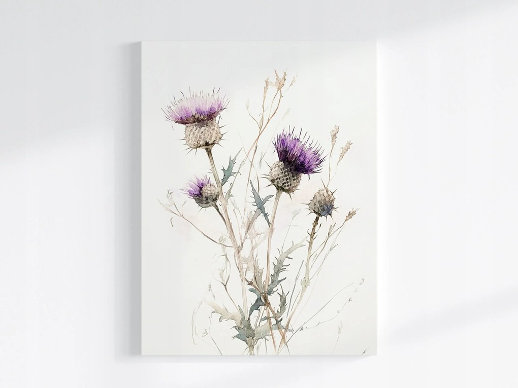 Vászonkép Canvas Akvarell Természet Lila Bogáncs Virág Rét 75x100